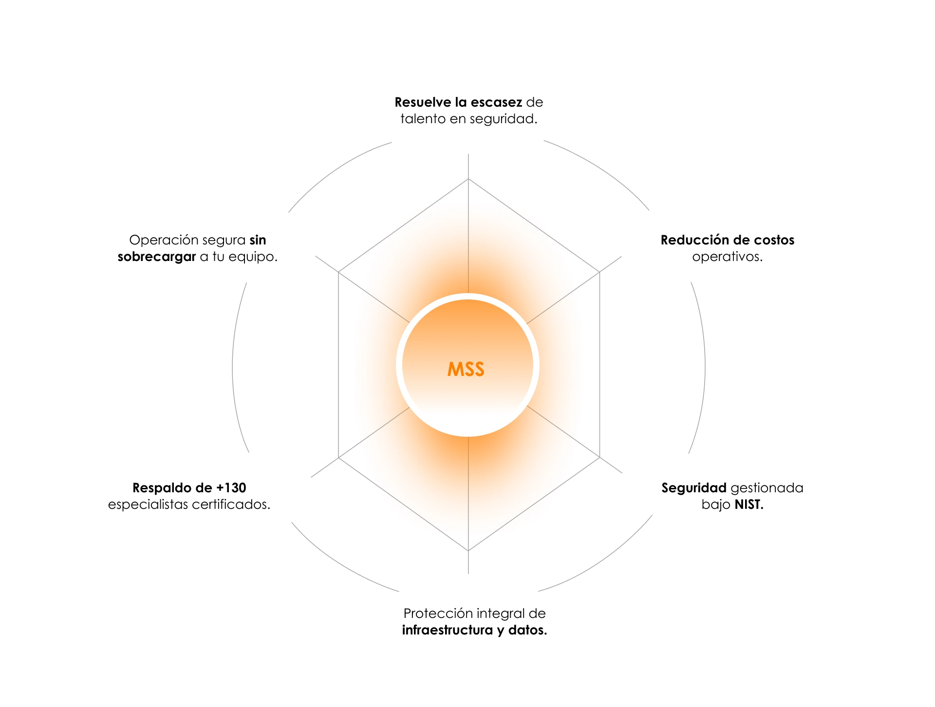 Servicios MSS 2 seccion
